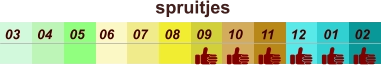 01 02 03 04 07 05 09 10 08 11 12 06 spruitjes