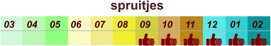 01 02 03 04 07 05 09 10 08 11 12 06 spruitjes