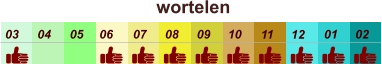 01 02 03 04 07 05 09 10 08 11 12 06 wortelen