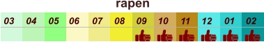 rapen  01 02 03 04 07 05 09 10 08 11 12 06