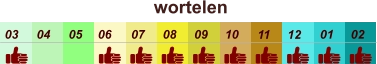 01 02 03 04 07 05 09 10 08 11 12 06 wortelen