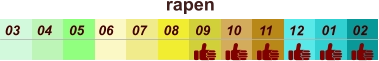 rapen  01 02 03 04 07 05 09 10 08 11 12 06