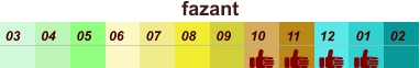 01 02 03 04 07 05 09 10 08 11 12 06 fazant