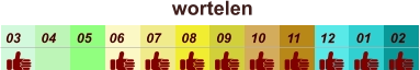 01 02 03 04 07 05 09 10 08 11 12 06 wortelen