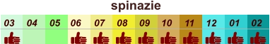 spinazie  01 02 03 04 07 05 09 10 08 11 12 06