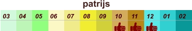 01 02 03 04 07 05 09 10 08 11 12 06 patrijs