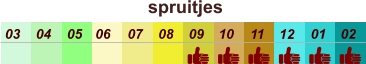 01 02 03 04 07 05 09 10 08 11 12 06 spruitjes