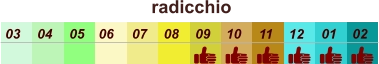 01 02 03 04 07 05 09 10 08 11 12 06 radicchio
