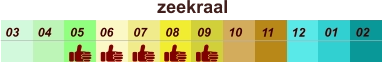 zeekraal  01 02 03 04 07 05 09 10 08 11 12 06