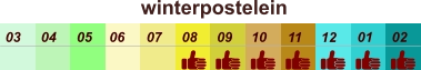 winterpostelein  01 02 03 04 07 05 09 10 08 11 12 06
