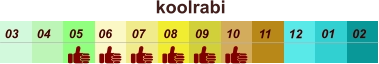 koolrabi  01 02 03 04 07 05 09 10 08 11 12 06