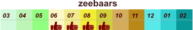 01 02 03 04 07 05 09 10 08 11 12 06 zeebaars