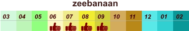 01 02 03 04 07 05 09 10 08 11 12 06 zeebanaan