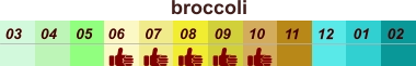01 02 03 04 07 05 09 10 08 11 12 06 broccoli