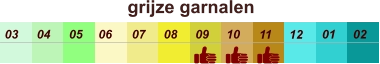 01 02 03 04 07 05 09 10 08 11 12 06 grijze garnalen