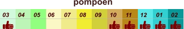 01 02 03 04 07 05 09 10 08 11 12 06 pompoen