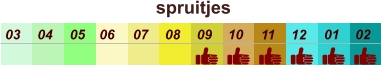 01 02 03 04 07 05 09 10 08 11 12 06 spruitjes