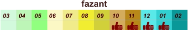 01 02 03 04 07 05 09 10 08 11 12 06 fazant