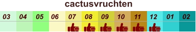 cactusvruchten  01 02 03 04 07 05 09 10 08 11 12 06