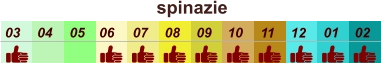spinazie  01 02 03 04 07 05 09 10 08 11 12 06
