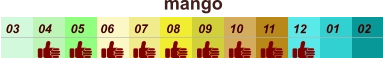 mango  01 02 03 04 07 05 09 10 08 11 12 06