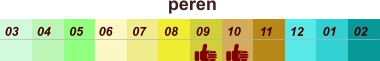 01 02 03 04 07 05 09 10 08 11 12 06 peren
