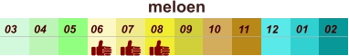 01 02 03 04 07 05 09 10 08 11 12 06 meloen