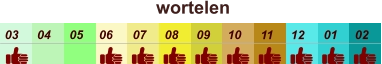 01 02 03 04 07 05 09 10 08 11 12 06 wortelen
