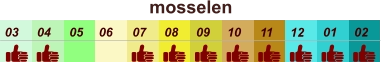 01 02 03 04 07 05 09 10 08 11 12 06 mosselen