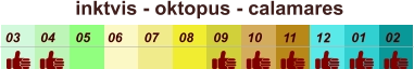 01 02 03 04 07 05 09 10 08 11 12 06 inktvis - oktopus - calamares