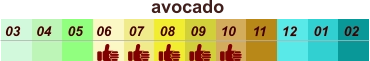 01 02 03 04 07 05 09 10 08 11 12 06 avocado