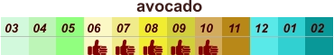 01 02 03 04 07 05 09 10 08 11 12 06 avocado