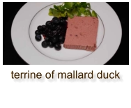 terrine of mallard duck