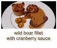 wild boar fillet with cranberry sauce