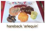 hareback ‘arlequin’