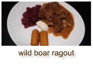 wild boar ragout