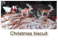 Christmas biscuit