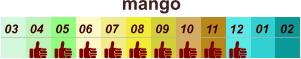 mango  01 02 03 04 07 05 09 10 08 11 12 06