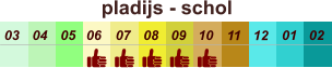 pladijs - schol  01 02 03 04 07 05 09 10 08 11 12 06