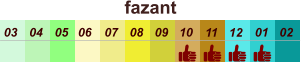 01 02 03 04 07 05 09 10 08 11 12 06 fazant