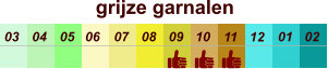 01 02 03 04 07 05 09 10 08 11 12 06 grijze garnalen