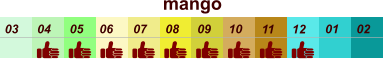 mango  01 02 03 04 07 05 09 10 08 11 12 06