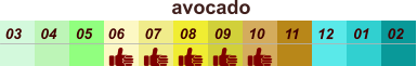 01 02 03 04 07 05 09 10 08 11 12 06 avocado