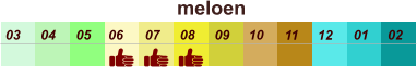 01 02 03 04 07 05 09 10 08 11 12 06 meloen