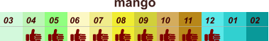 mango  01 02 03 04 07 05 09 10 08 11 12 06