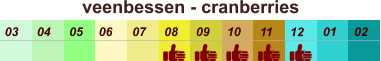 01 02 03 04 07 05 09 10 08 11 12 06 veenbessen - cranberries