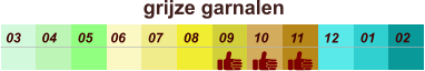 01 02 03 04 07 05 09 10 08 11 12 06 grijze garnalen