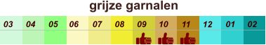 01 02 03 04 07 05 09 10 08 11 12 06 grijze garnalen