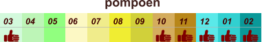 01 02 03 04 07 05 09 10 08 11 12 06 pompoen