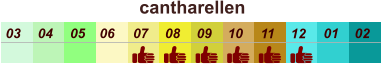 cantharellen  01 02 03 04 07 05 09 10 08 11 12 06